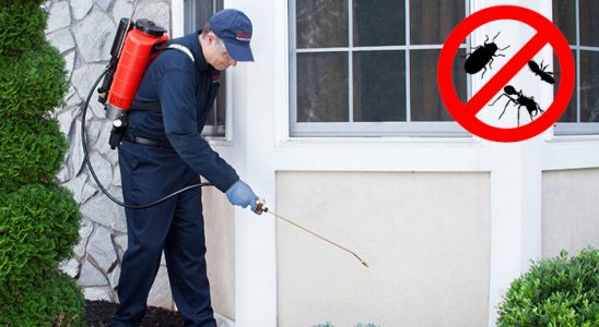 Doğanhisar Haşere İlaçlama böcek ilaçlama ve haşere kontrolü — ilaclama-tr.com